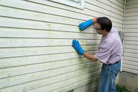 Best Aluminum Siding Installation  in Al Creek, CO